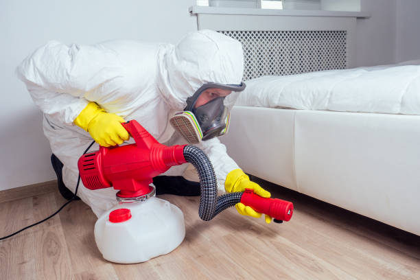 Best Real Estate Pest Inspections  in Ironton, MO